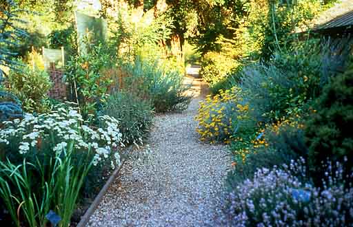 Chelsea Physic Garden