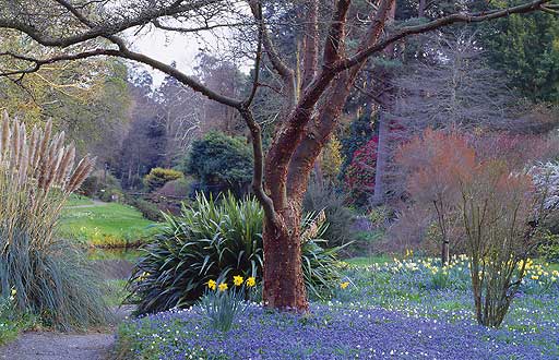 mount usher gardens