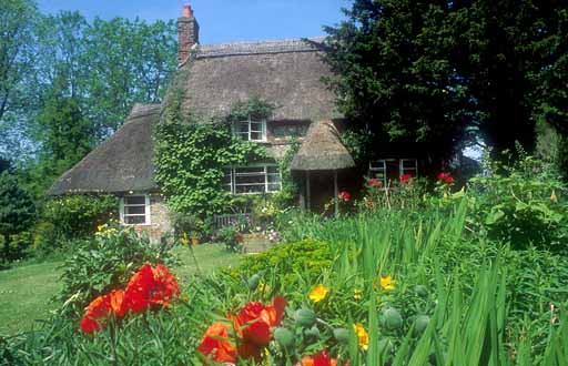 Irish Cottage Gardens